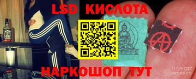 гашик Будённовск