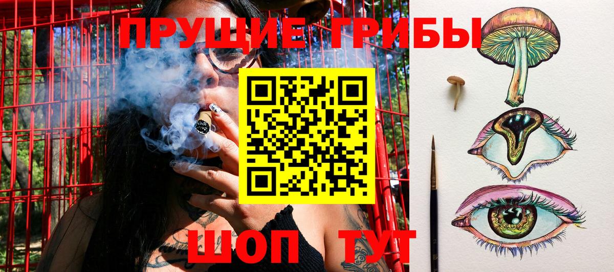 Галлюциногенные грибы Psilocybe  Псилоцибиновые грибы Psilocybine cubensis  Вход с VPN  Муром 