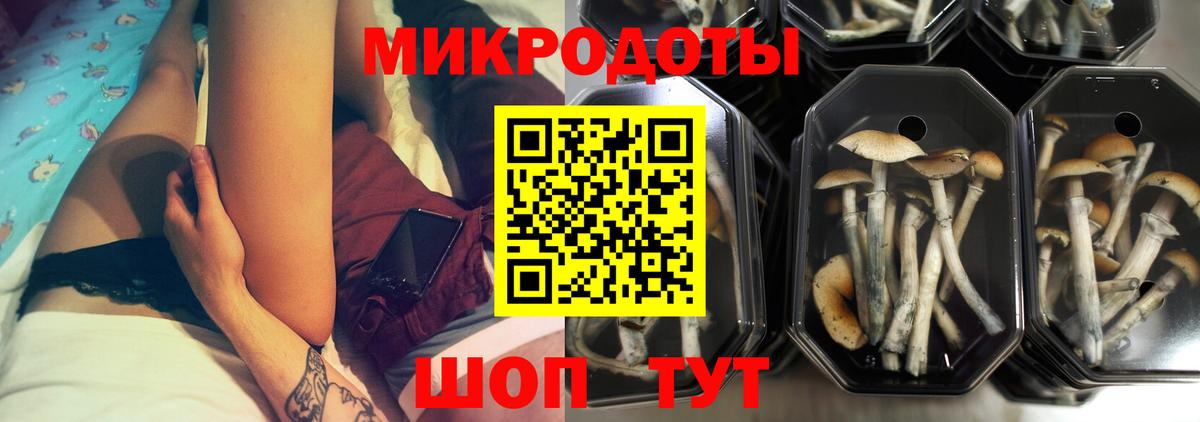 Псилоцибиновые грибы Magic Shrooms Муром
